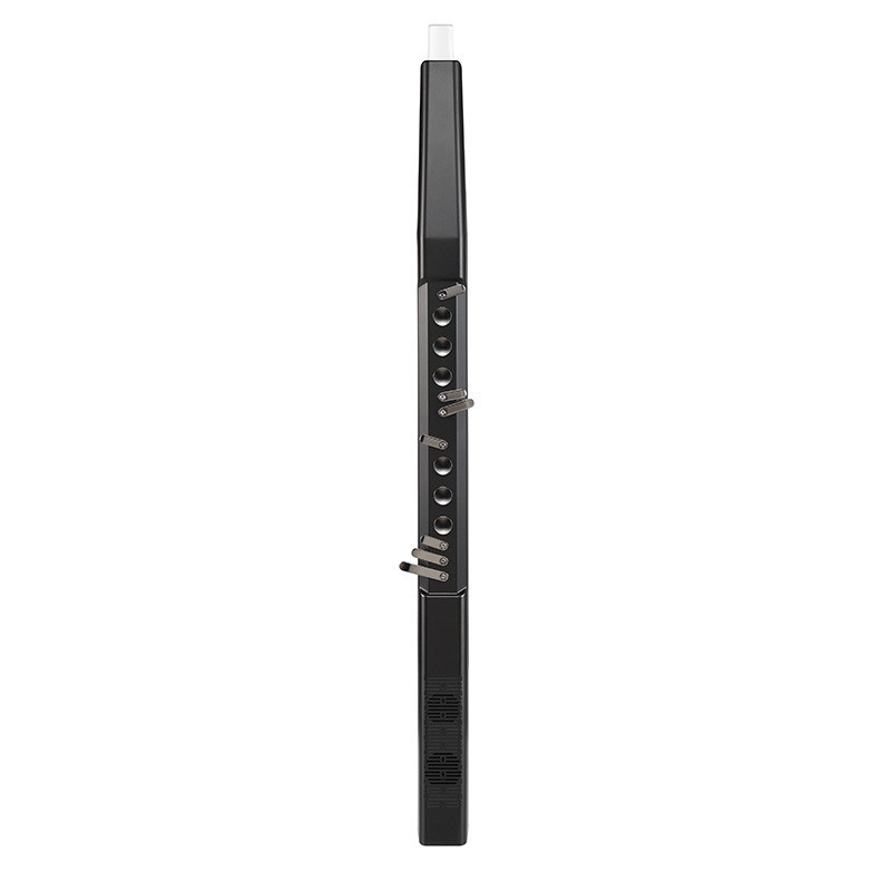 Electronic Wind Instrument, Mu - Musical Instruments review and price