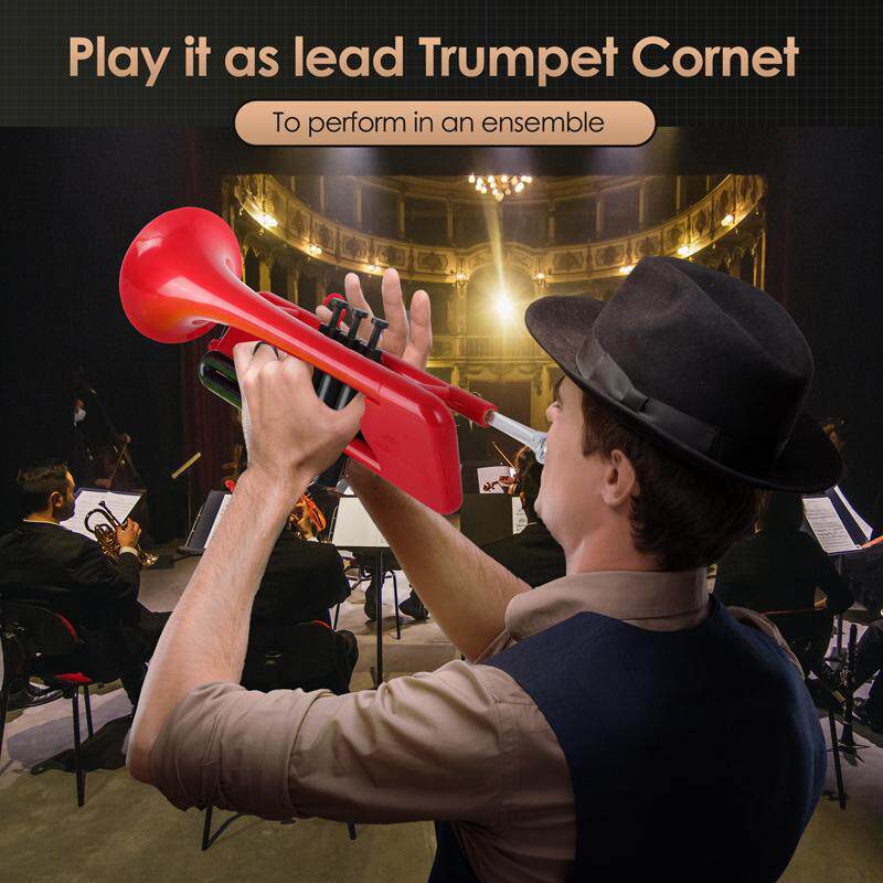 Cornet B Flat Wind Instrument  - Musical Instrument Cornet review and price