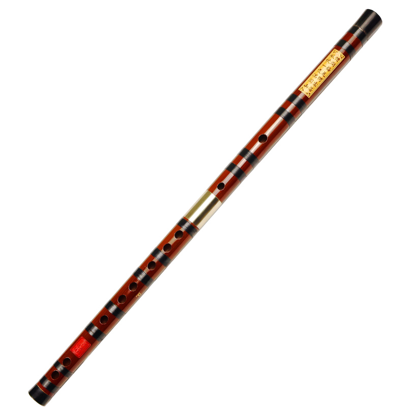 Professional Playing Bitter Ba - Musical Instrument Ending In A review and price
