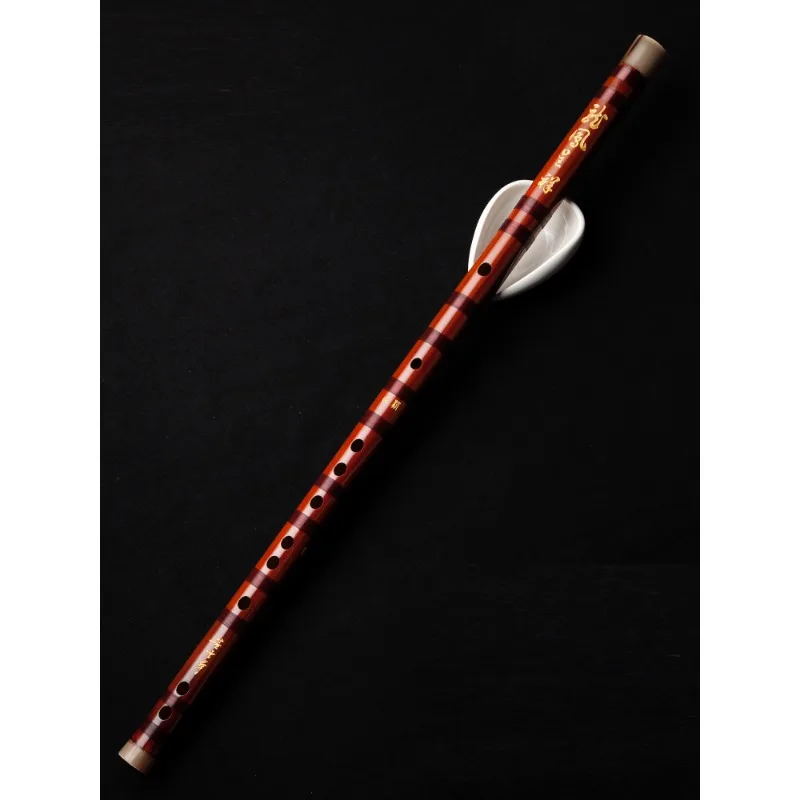 Professional flute, high-end f - Musical Instrument Ending In A review and price