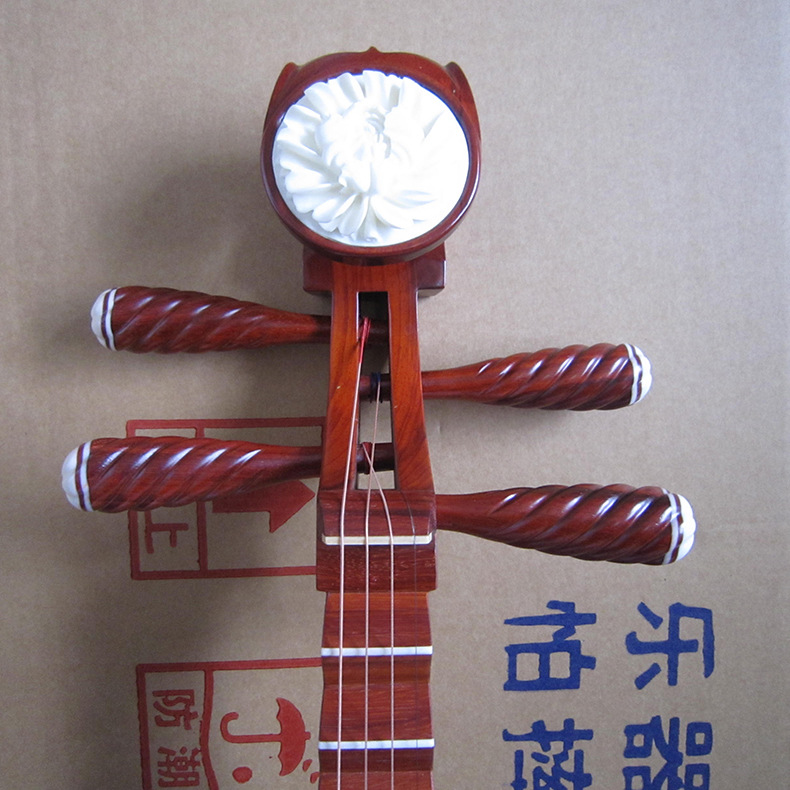 Professional Rosewood Pipa, Hi - Musical Instrument Ending In A review and price
