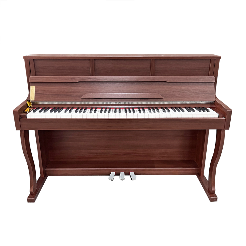 High End Digital Piano Profess - Musical Instrument Ending In A review and price