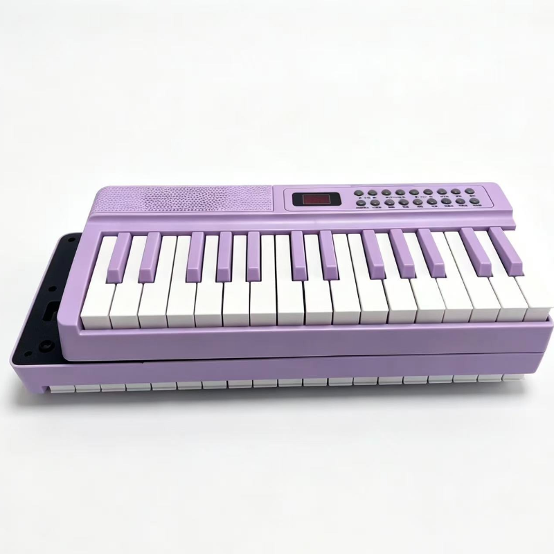 61-Key Portable Digital Piano  - Musical Instrument Organ review and price