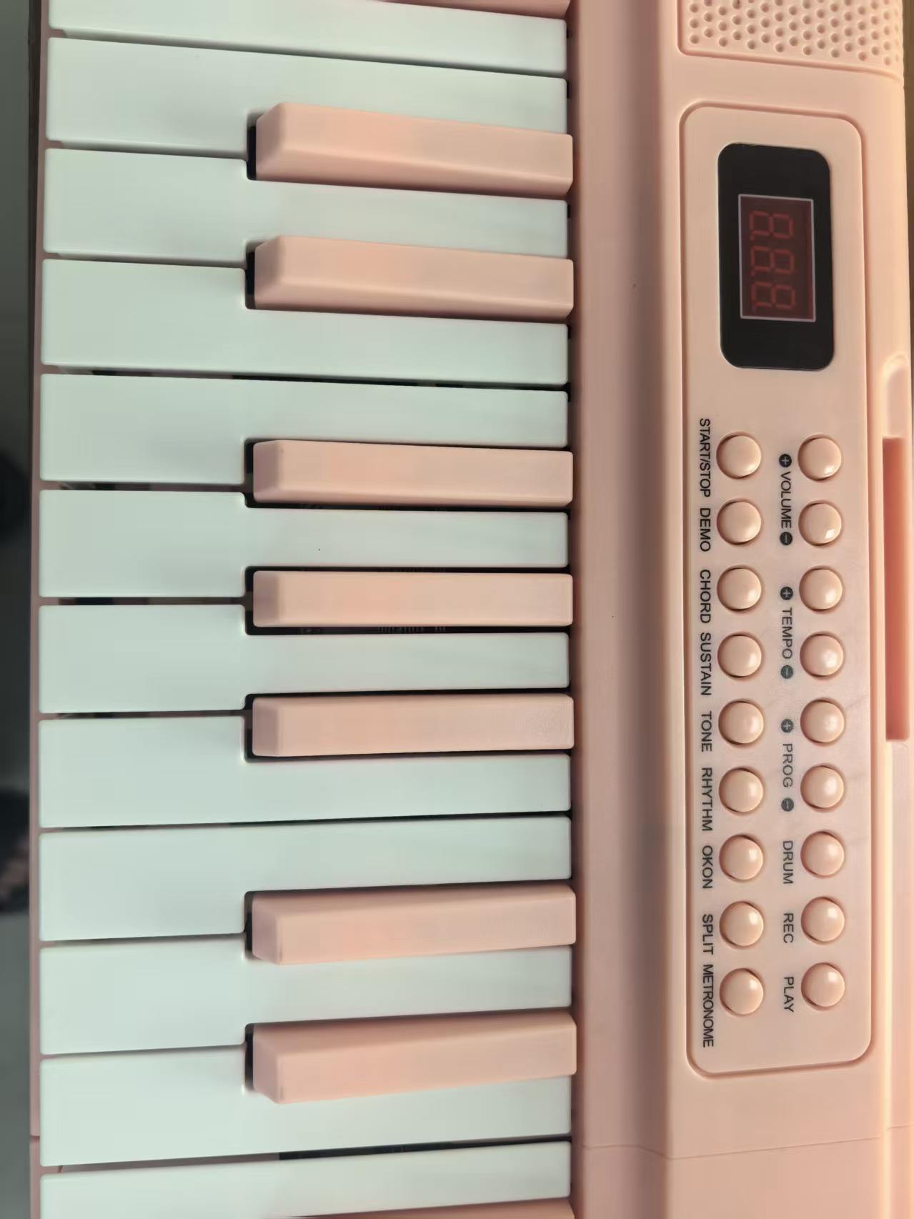 61-Key Portable Digital Piano  - Musical Instrument Organ review and price