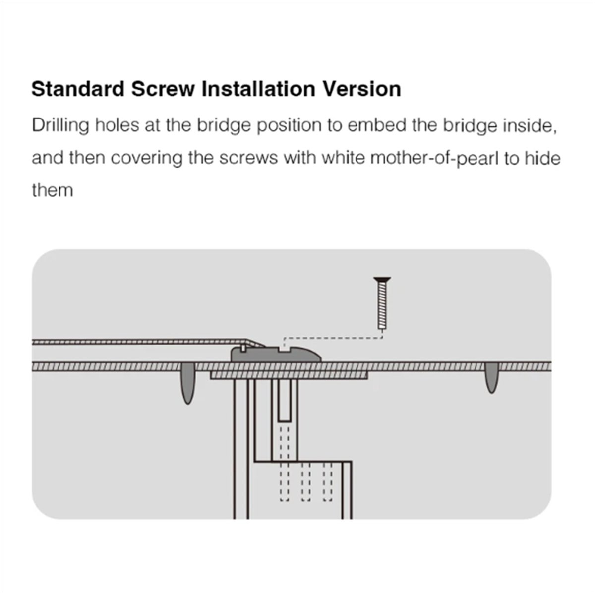 New Arrival Guitar Bridge Doct - Musical Instrument Manufacturers review and price