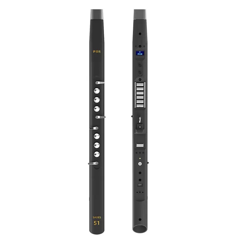 Electric Wind Instrument, Begi - Musical Instruments review and price
